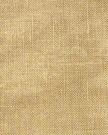 Tabby Cat Linen Torn Ticket | 40 Count